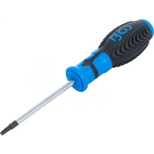 BGS Technic Csavarhúzó T-profil (Torx) T20 furattal Pengehossz 80 mm (BGS-7849-T20)